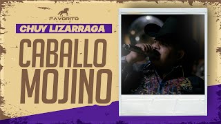 Caballo Mojino  Chuy Lizárraga Video Oficial [upl. by Laddy]