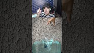 boia ou afunda rs pt2 boiaouafunda humor react anaochave objetos [upl. by Hoeve]