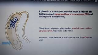 Plasmid definition [upl. by Bortman]