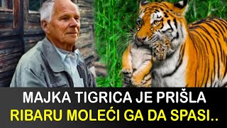 MAJKA MALOG TIGRA JE DOŠLA DO RIBARA KAKO BI ON SPASIO NJENO MLADUNČE ALI KADA JE TAJ ČOVEK VIDEO [upl. by Ariayek439]