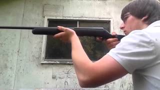 Shooting 22 CCI CB short And Remington subsonic ammunition [upl. by Andris107]