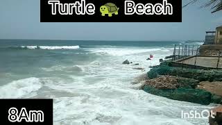 Karachi Beautiful Turtle Beach Karachi picnic  Karachi sea Mauripur road picnic 2023❤️ [upl. by Sallee]