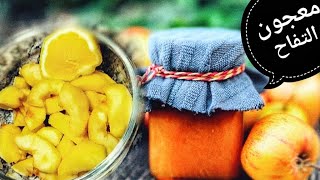 طريقة سهلة لتحضير مربى التفاح  confiture de pommes [upl. by Esahc383]