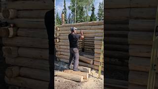 Ep8 Cutting out the door  Root Cellar build  One Man Job offgrid rootcellar diy [upl. by Notsnorb]