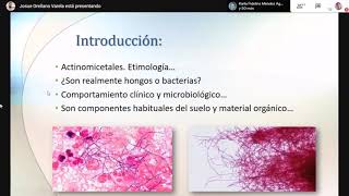 Clase 29 Nocardia y Corynebacterium [upl. by Dulciana766]