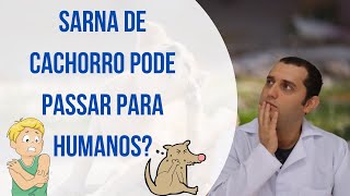 Sarna de cães passa para humanos [upl. by Emlin]