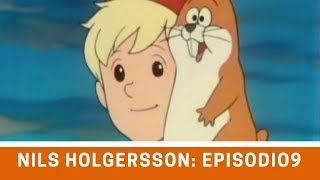 Nils Holgersson  Episodio 9 La Fiesta del Monte Kula [upl. by Sacken587]