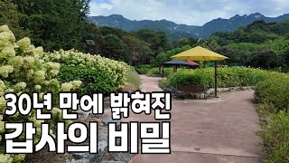 30년 만에 밝혀진 갑사의 비밀  충남 공주시  갑사  계룡산 자작시 ’그래 가을이지‘ 최영복 비움  최작가CHOI의 시처럼 그림처럼 공주시 갑사 단풍 [upl. by Llerrac447]