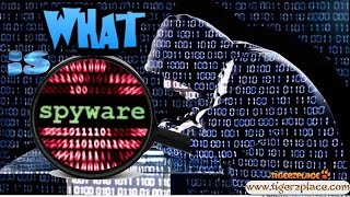 What is Spyware and What does it do [upl. by Tani]