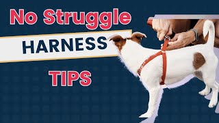 How to Put a Puppy Harness on Without Struggle [upl. by Natalie338]