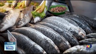 SC Saudável Itajaí lidera em produção e exportação de peixes no Brasil [upl. by Notselrahc]