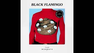 The Wombats  Black Flamingo Official Audio [upl. by Ludwigg]