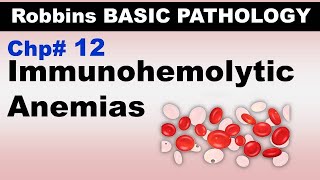 Ch12  Immunohemolytic Anemia  Coomb Test  Warm and Cold Antibodies Blood Pathology [upl. by Nodyarb]