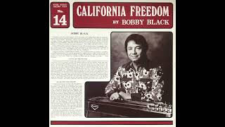 Bobby Black  Stolen Moments  Pedal Steel Guitar [upl. by Olvan]