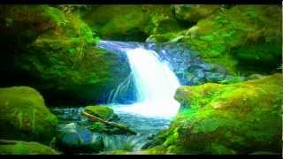 Relaxation musique cascade eaux nature [upl. by Simmonds]