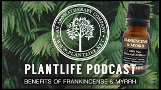 Benefits Of Frankincense amp Myrrh [upl. by Aeriel]