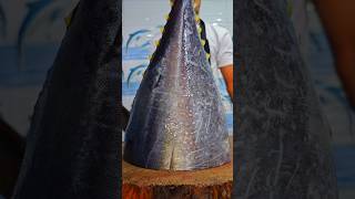 20 kg Yellowfin tuna cutting trending fishcuting seafood shorts youtube food instagram [upl. by Roon110]