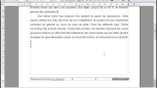 Open office ou Libre office  Texte long 9  Numerotation des pages [upl. by Ayvid336]