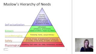 Introduction to WellBeing [upl. by Anselm]