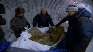 The Perfectly Preserved Frozen Yuka Mammoth Mummy  Woolly Mammoth Secrets from the Ice  BBC Two [upl. by Anatollo]