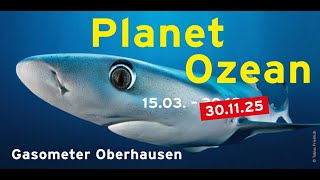 quotPlanet Ozeanquot Ausstellungstrailer  Verlängerung bis 30112025 [upl. by Cinderella]