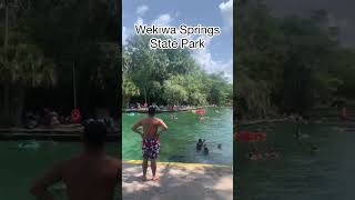 Wekiwa Springs State Park  Orlando Florida passeando orlando travel shorts [upl. by Ynnot171]