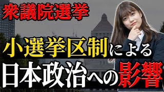 【衆議院】小選挙区比例代表並立制による日本政治への影響は？ [upl. by Eilerua]