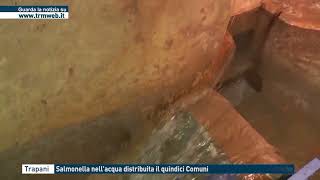 Trapani  Salmonella nellacqua distribuita in quindici Comuni [upl. by Mulford]