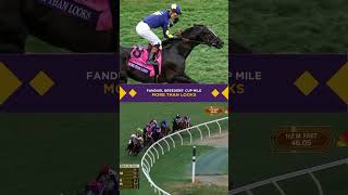 More Than Looks wins the 2 Million FanDuel BreedersCup Mile presented by the PDJF [upl. by Jurkoic]