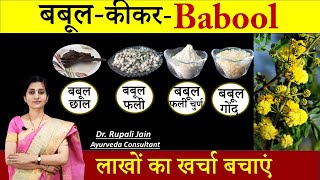 Amazing Health Benefits of बबूल कीकर Babool  सही आयुर्वेदिक सेवनविधि जरुरी  बबूल फली Powder [upl. by Ailec254]