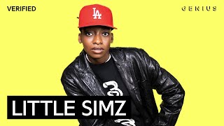 Little Simz quotGorillaquot Official Lyrics amp Meaning  Verified [upl. by Kay]