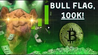 Bitcoin Bull flag amp 100k [upl. by Packer]