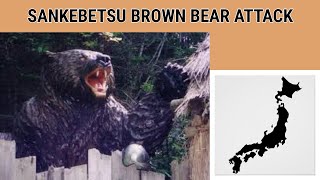 Sankebetsu Brown Bear Attack  The Macabre Story Behind Japans Deadliest Mauling [upl. by Alyss]