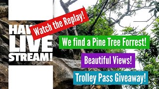 Hawaii LIVE Stream Lets Hike in Hawaii  Hawaii Travel Talk  Waikiki Trolley  Oahu Hawaii [upl. by Nnairda904]