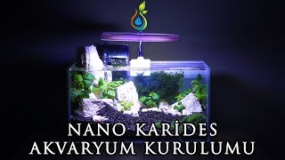 Low Tech Nano Bitkili Karides Akvaryum Kurulumu  Low Tech Nano Planted Shrimp Aquarium Setup [upl. by Schott]