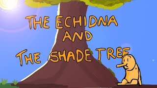 The Echidna and the Shade Tree [upl. by Cnahc299]