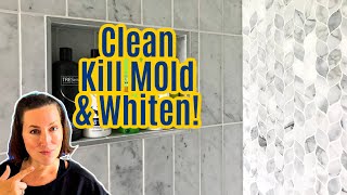 Easy Steps to Clean Grout In Your Shower Cleans Mold amp Mildew  Safe On Marble amp Stone Tile [upl. by Bel18]