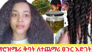 ሮዝሜሪ የፀጉር ቅባት አሠራርለተጎዳ ፀጉርHow to make Rosemary hair oil [upl. by Nner]