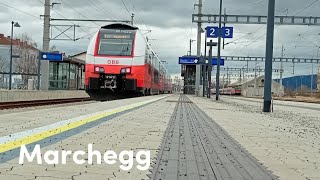 Züge in Marchegg S1 REX8 R81  Trainspotten 63 [upl. by Yesnik]