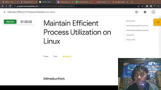 Maintain Efficient Process Utilization on Linux  Day 44 [upl. by Esaj]