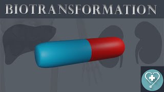 Biotransformation of drugs  Phase 1 amp Phase 2 reactions  First pass Metabolism  Pharmacology [upl. by Spense]