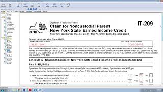 Noncustodial Parent New York State Earned Income Credit [upl. by Jd728]