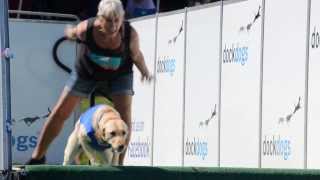 Dock Dogs speed retrieval finals at Clark County Fair [upl. by Annek919]