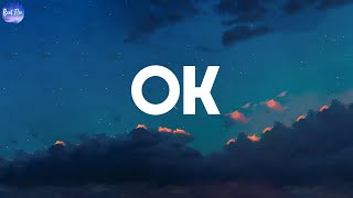 OK Lyrics [upl. by Branen]