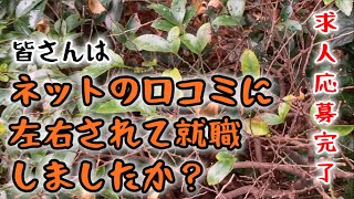 【新卒転職活動】めげずに口コミを見ながらスーパーの書類選考に応募完了 [upl. by Conlan]