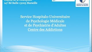 Les troubles psychiatriques  Pr Christophe Lançon [upl. by Nevram570]