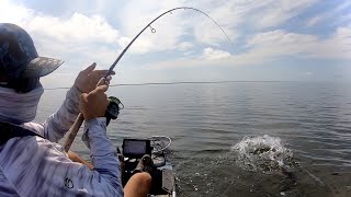 Fish Were WAKING Kayak Fishing Outer Banks [upl. by Thornton190]