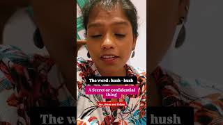 Lets not keep it hush hush  ytshorts spokenenglishcourse vocabulary viralvideo tips [upl. by Anam]