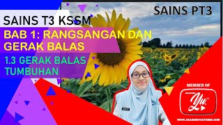 KSSM SAINS TINGKATAN 3  13 GERAK BALAS TUMBUHAN [upl. by Cornia]