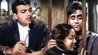 राजेंद्र कुमार को हुई जेल  महमूद ने किया असली हत्यारे को बेनक़ाब  Mehmood Best Court Room Scene [upl. by Thorndike]